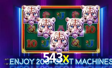Seasonal Promotions 543x